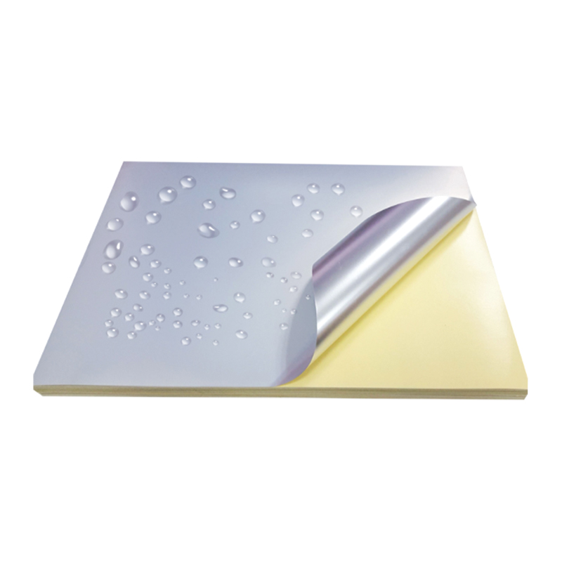 فیلم حیوان خانگی نقره ای مات 50 متری با آستر سیلیکونی زرد