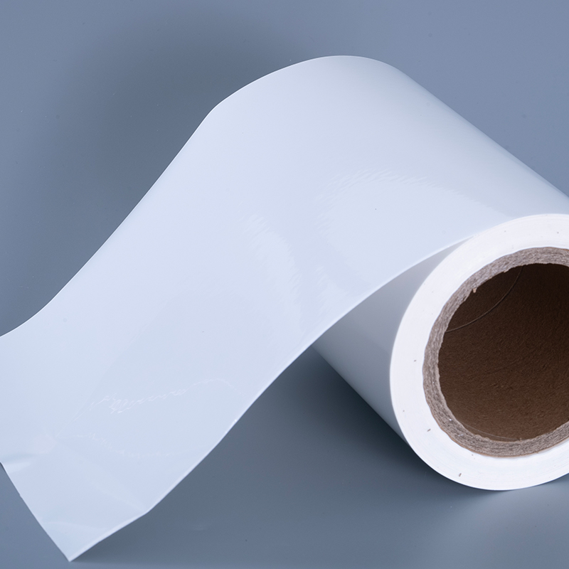 مواد برچسب فیلم وینیل PET 25 میکرونی براق با رول جامبو چسب اکریلیک برای چاپ جوهر افشان